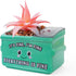 Green Aloe-pink