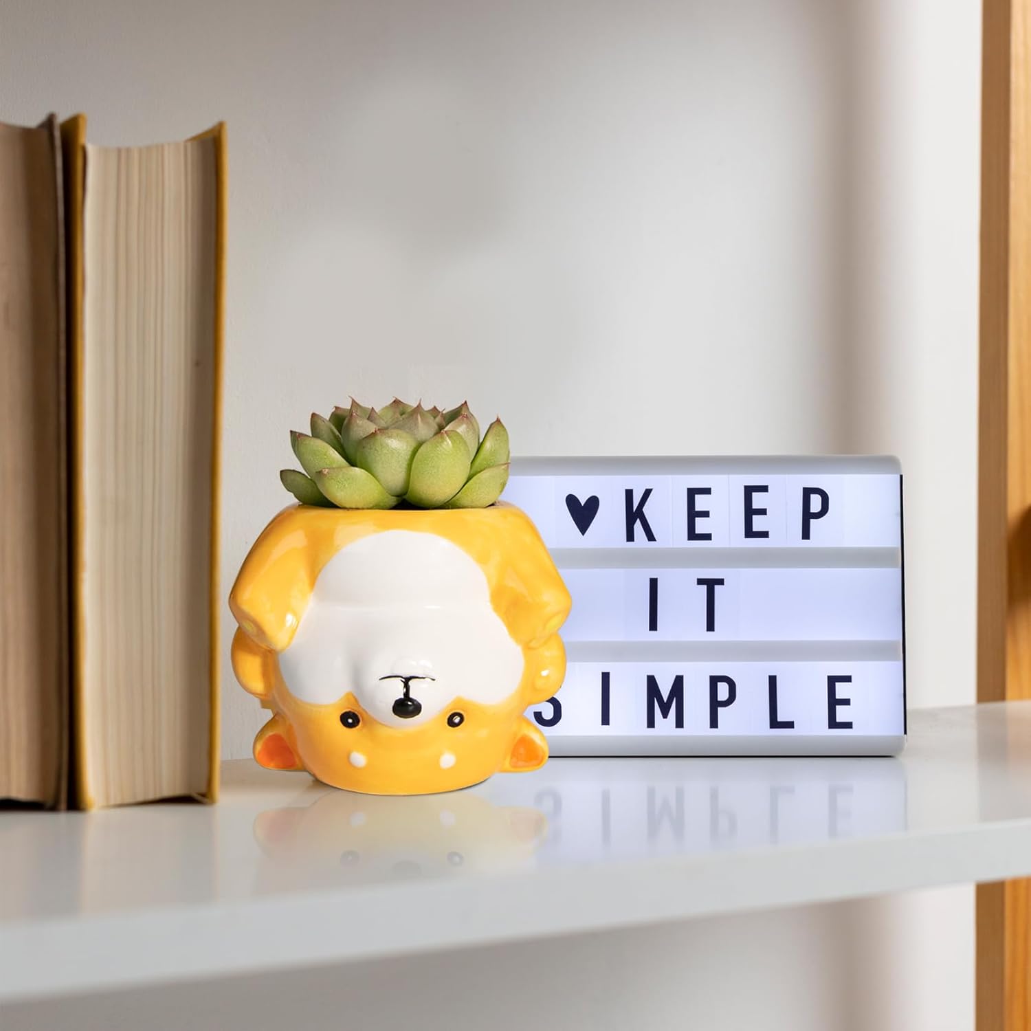 Cute Animal Ceramics Planter Succulent Pot with Drainage, 4.4 Inch Plant Pot for Indoor Mini Plants Flower Cactus, Home and Garden Decor Fun Panda Gifts