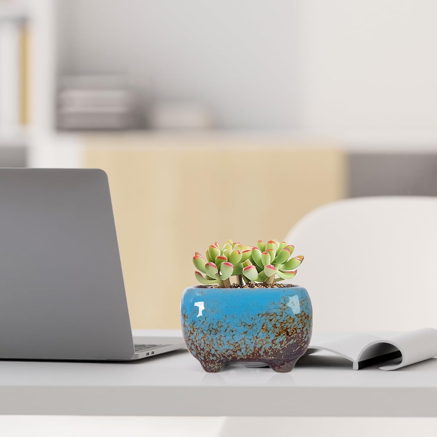 ARTKETTY Succulent Pots - Small Succulent Plant Pot with Drainage Pack of 6, Ceramic Cactus Planter Pots for Indoor Unique Flower Planter Container for Home Office Decor