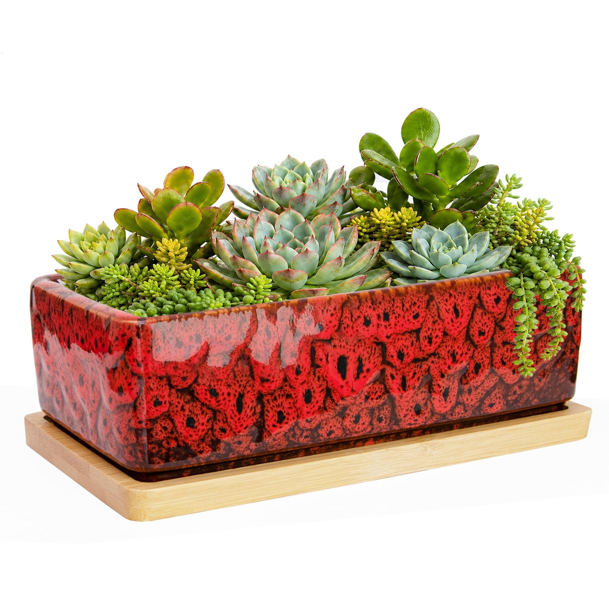 ARTKETTY Succulent Pots - 7 Inch Large Succulent Planters with Drainage Tray, Window Sill Planter, Long Rectangle Ceramic Pots for Indoor Cactus Plants Shallow Bonsai Window Box for Home Garden Decor