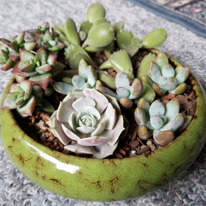 7.3 inch Round Succulent Planter Pots with Drainage Hole Bonsai Pots Garden Decorative Cactus Stand Ceramic Glazed Flower Container Green, with Bamboo Tray