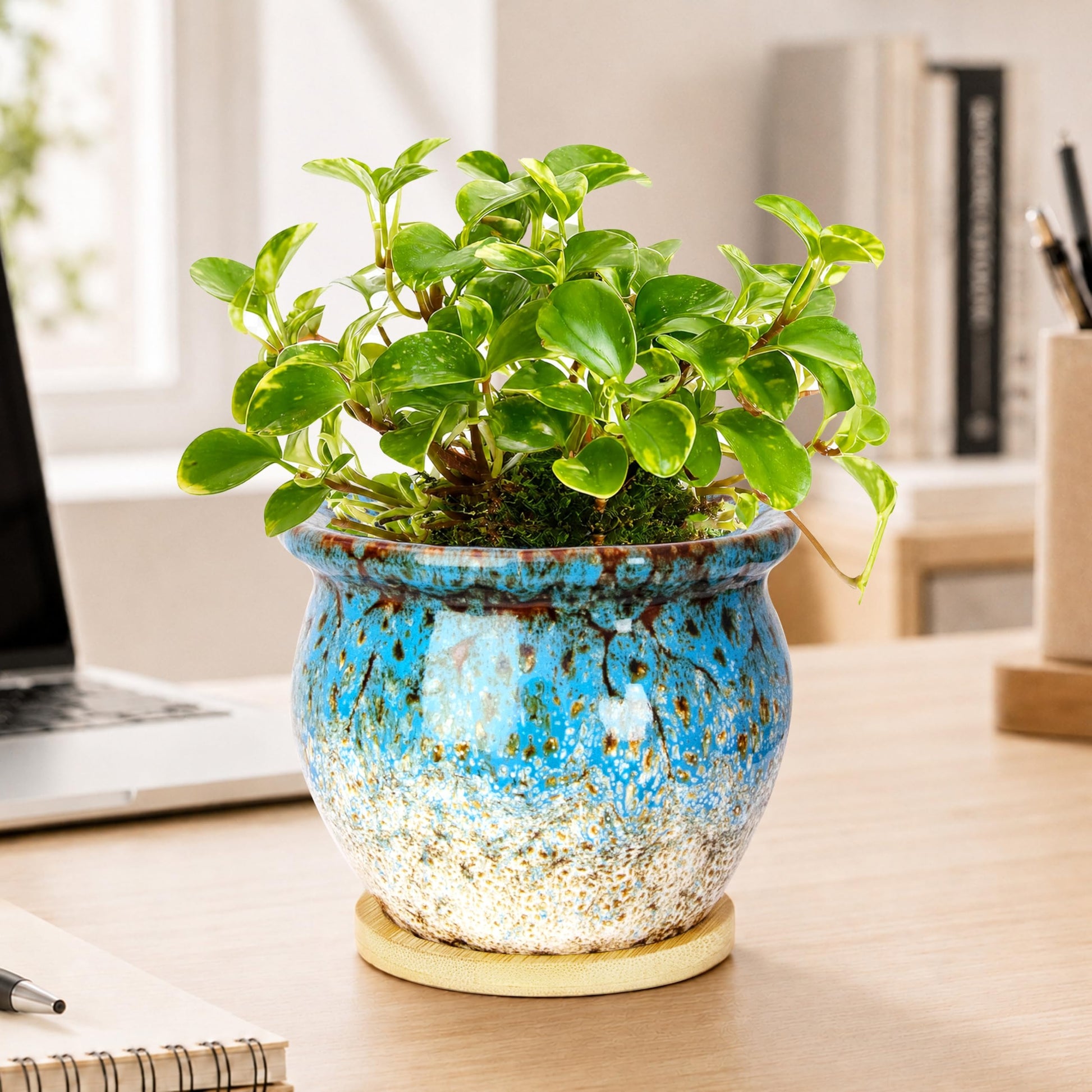 ARTKETTY 4.5 Inch Plant Pots, Small Pots for Plant Indoor, Ceramic Planter with Tray