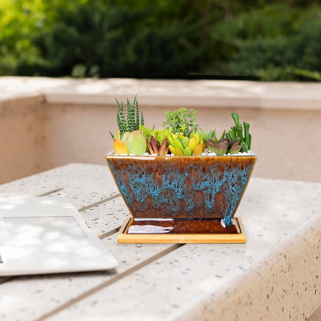 ARTKETTY Succulent Pots - 7 Inch Large Plant Pots with Drainage Tray | Shallow Ceramic Pots for Indoor Plants, Modern Cactus Bonsai Plant Container Decorative Home Office