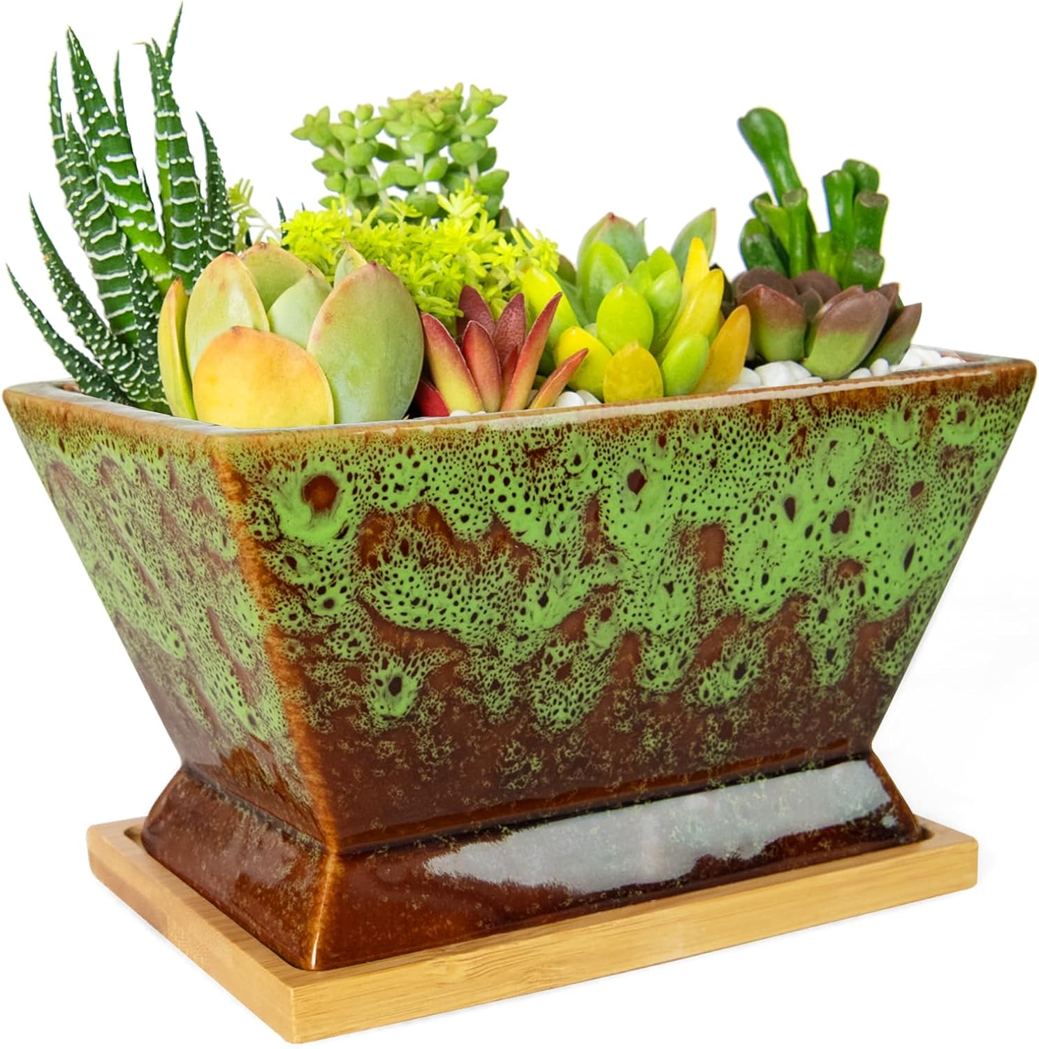 ARTKETTY Succulent Pots - 7 Inch Large Plant Pots with Drainage Tray | Shallow Ceramic Pots for Indoor Plants, Modern Cactus Bonsai Plant Container Decorative Home Office