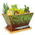 Green With Tray