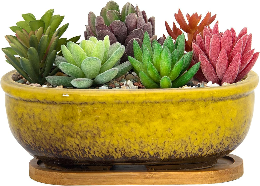 clay pots for succulent plants Succulent Pots, 7.9 Inch Long Rectangular Succulent Planters with Dra – artketty