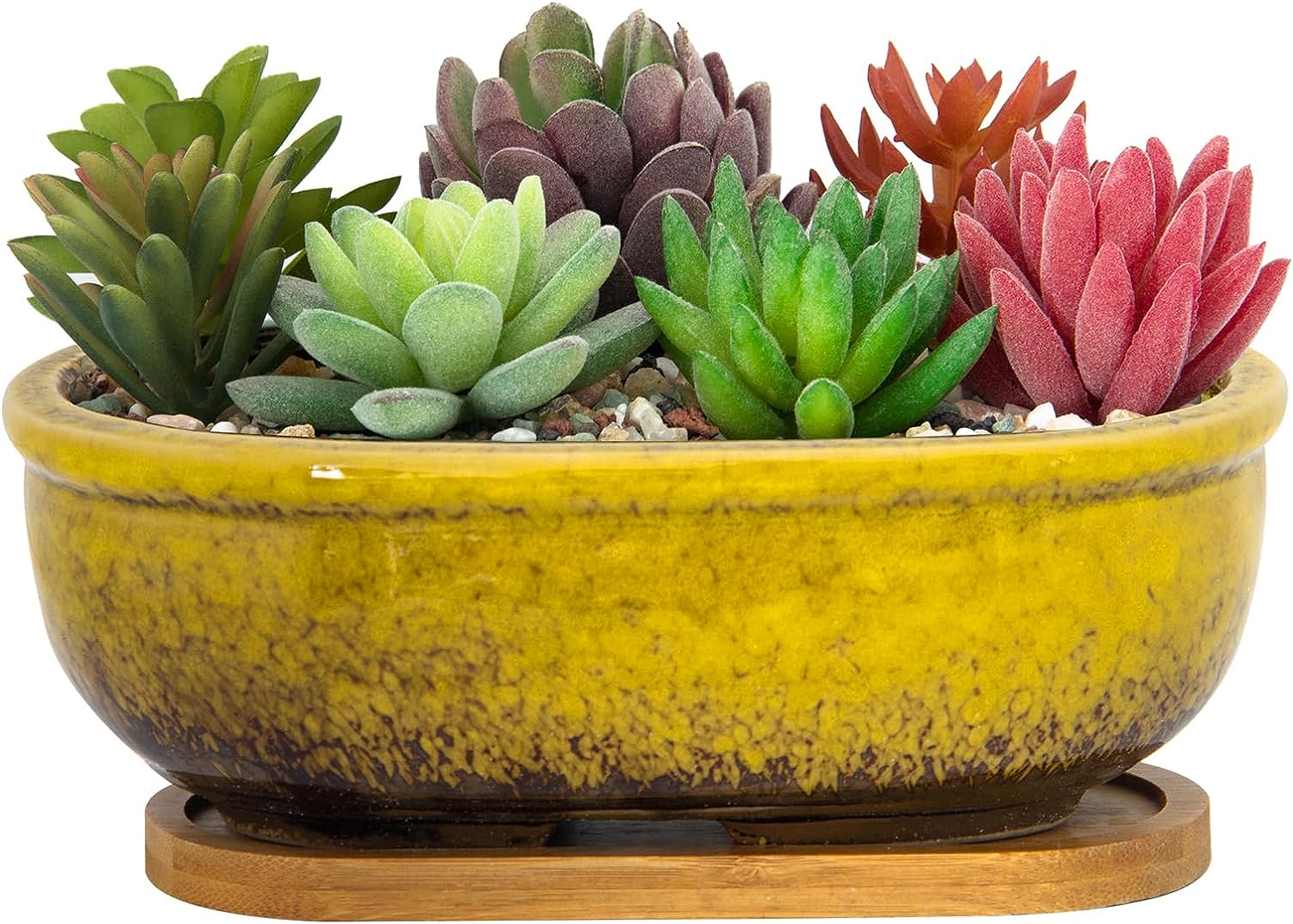 succulent plants tray Succulent Pots, 7.9 Inch Long Rectangular Succulent Planters with Dra – artketty