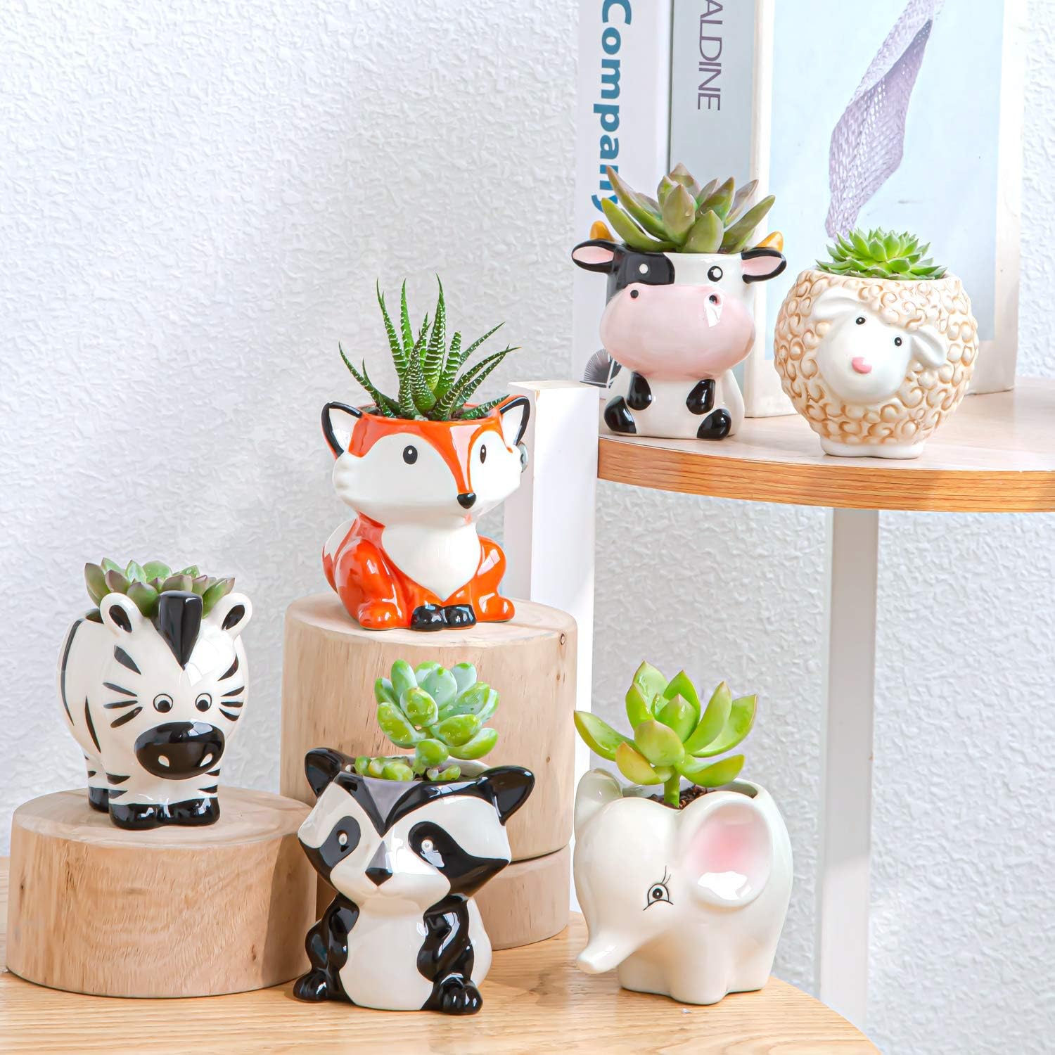 Cute Succulent Planter, Succulent Pots with Drainage Hole Flower Plant Pot Cartoon Ceramic Tiny Pot for Indoor Mini Flower Planters Cactus Container Set of 6