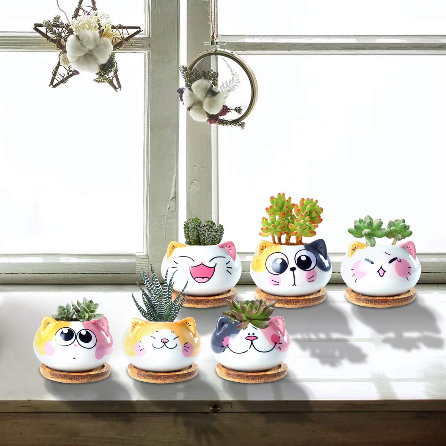 Succulent Pots with Drainage 3.6 Inch Mini Cat Pots for Plants Tiny Animal Planter Small Ceramic Air Plant Flower Pots Cactus Faux Planters Containers with Bamboo Tray
