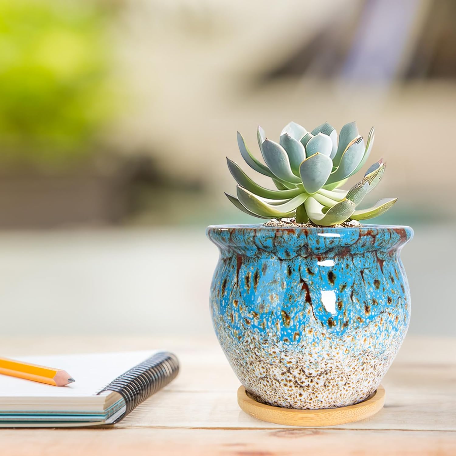 ARTKETTY Succulent Pots - 4 Pack Small Plant Pots with Drainage Tray, 4.5 Inch Ceramic Planters for Indoor Plants Colorful Cactus Flower Planter, Gifts for Women