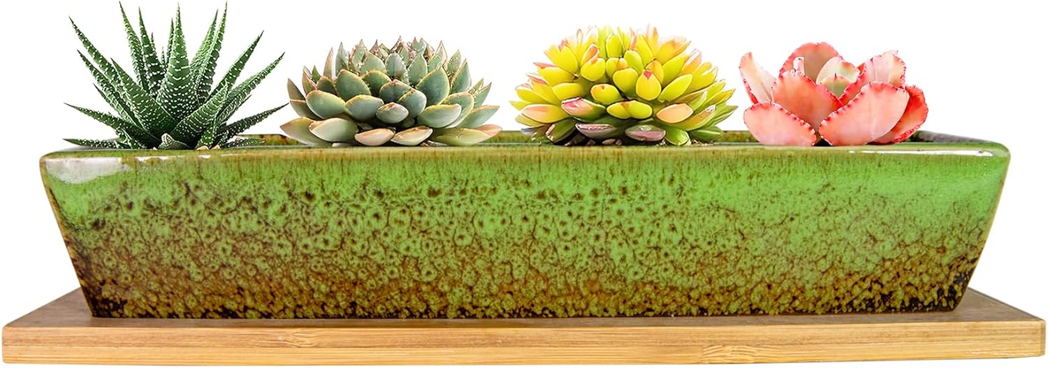 ARTKETTY Succulent Pots, 9.8 Inch Ceramic Succulent Planters with Drainage Small Bonsai Pot with Bamboo Tray, Mini Cactus Flower Planter Pot Shallow Rectangular Window Planters for Indoor Plants