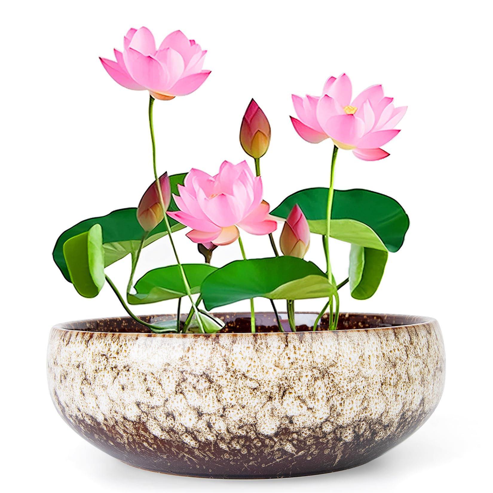 ARTKETTY Lotus Bowl Planter - 8 Inch Large Lotus Flower Bowl for Water Plants, Ceramic Bonsai Bowl for Hydroponic Plant Succulent Plants Indoors Outdoor