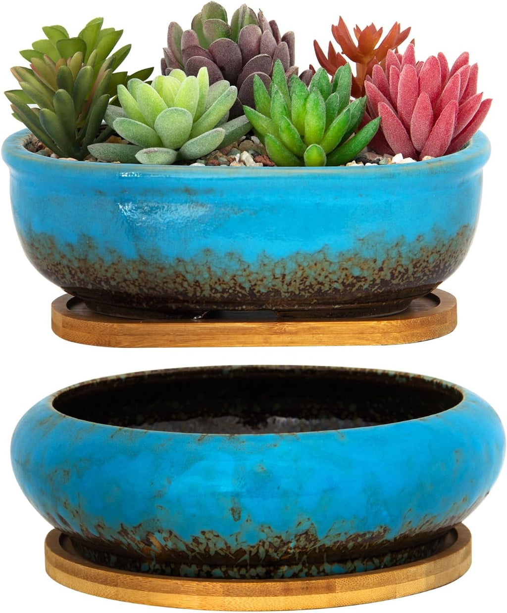 succulents in blue pots ARTKETTY Succulent Pots, Ceramic Succulent Planters Pots with Drainag – artketty