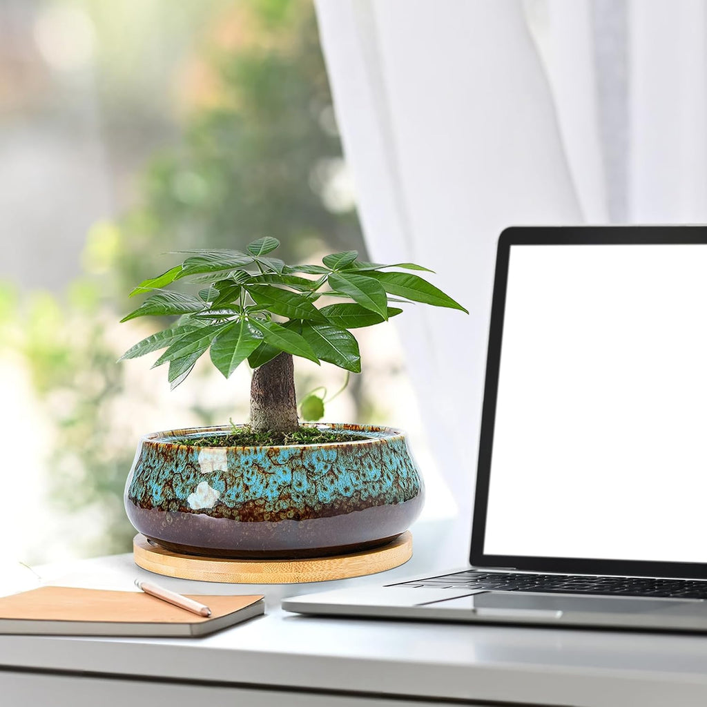 ARTKETTY Succulent Pots - 8 Inch Large Plant Pots, Shallow Planters | Ceramic Bonsai Pots with Drainage Tray, Round Cactus Flower Plant Container Bowl Decorative Home Garden