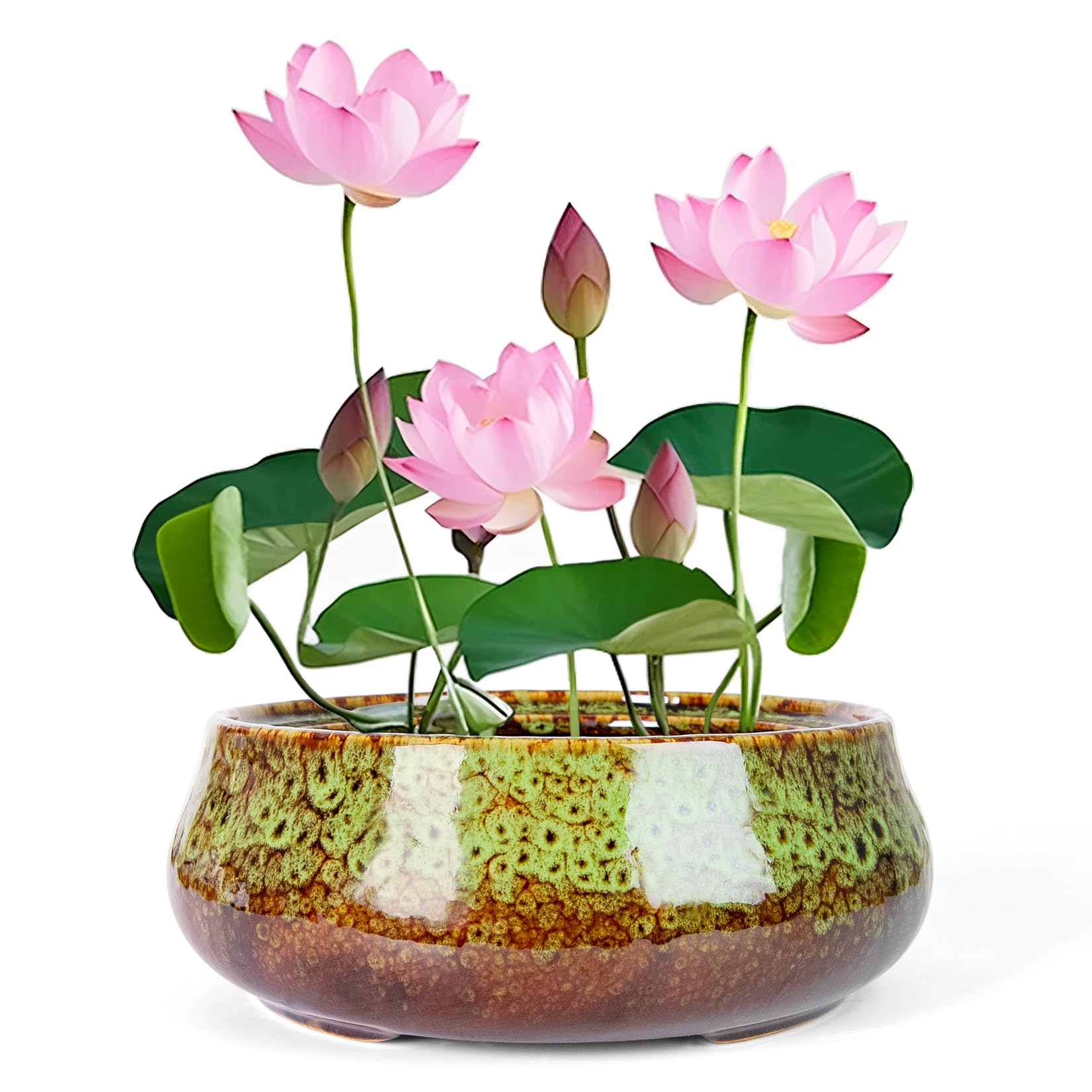 Lotus Bowl Planter - 8 Inch Large Lotus Flower Bowl for Water Plants, Ceramic Hydroponic Planter Water Lily Bowl for Planting Aquatic and Indoor Succulent Plants and Bonsai