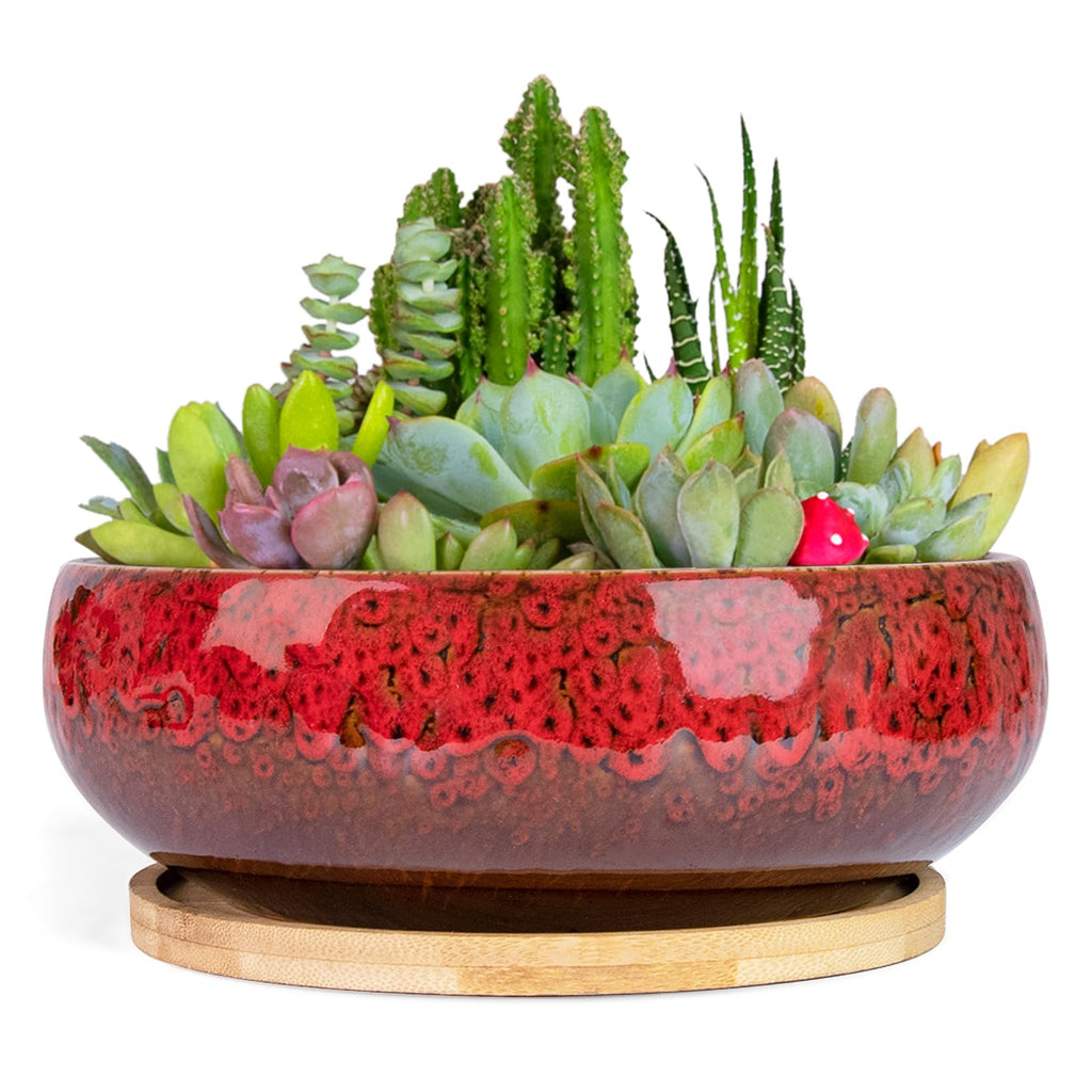 ARTKETTY Succulent Pots, 7.5 Inch Large Plant Pots with Bamboo Tray | Shallow Bonsai Pots with Drainage, Ceramic Planter for Indoor Plants, Cactus, Home Office Desk Decor