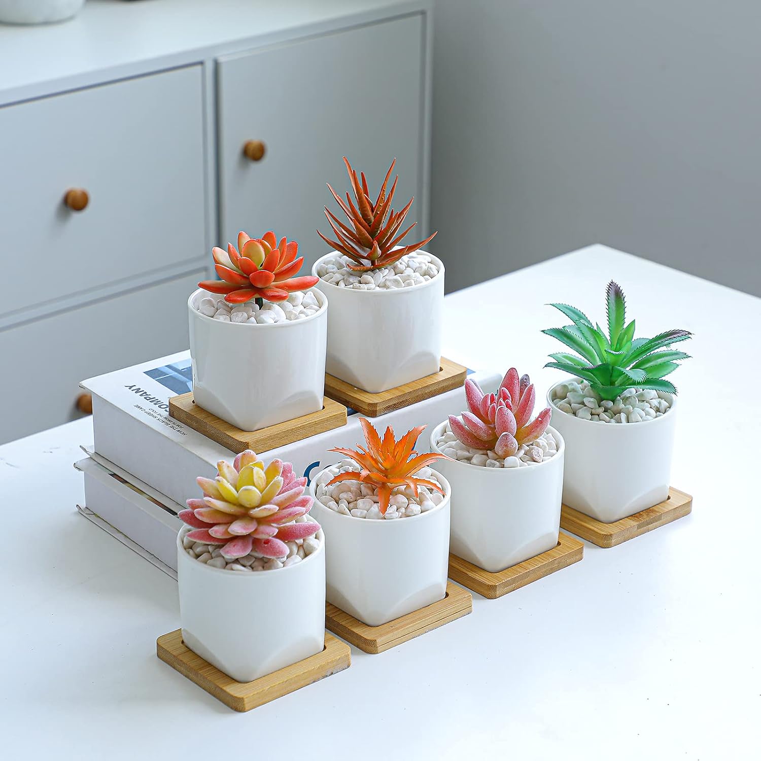 ARTKETTY Succulent Pots - 4 Inch Small Plant Pots with Drainage Trays Set of 6, Ceramic Pots for Indoor Plants White Cactus Flower Planter Container Decorative Garden Home