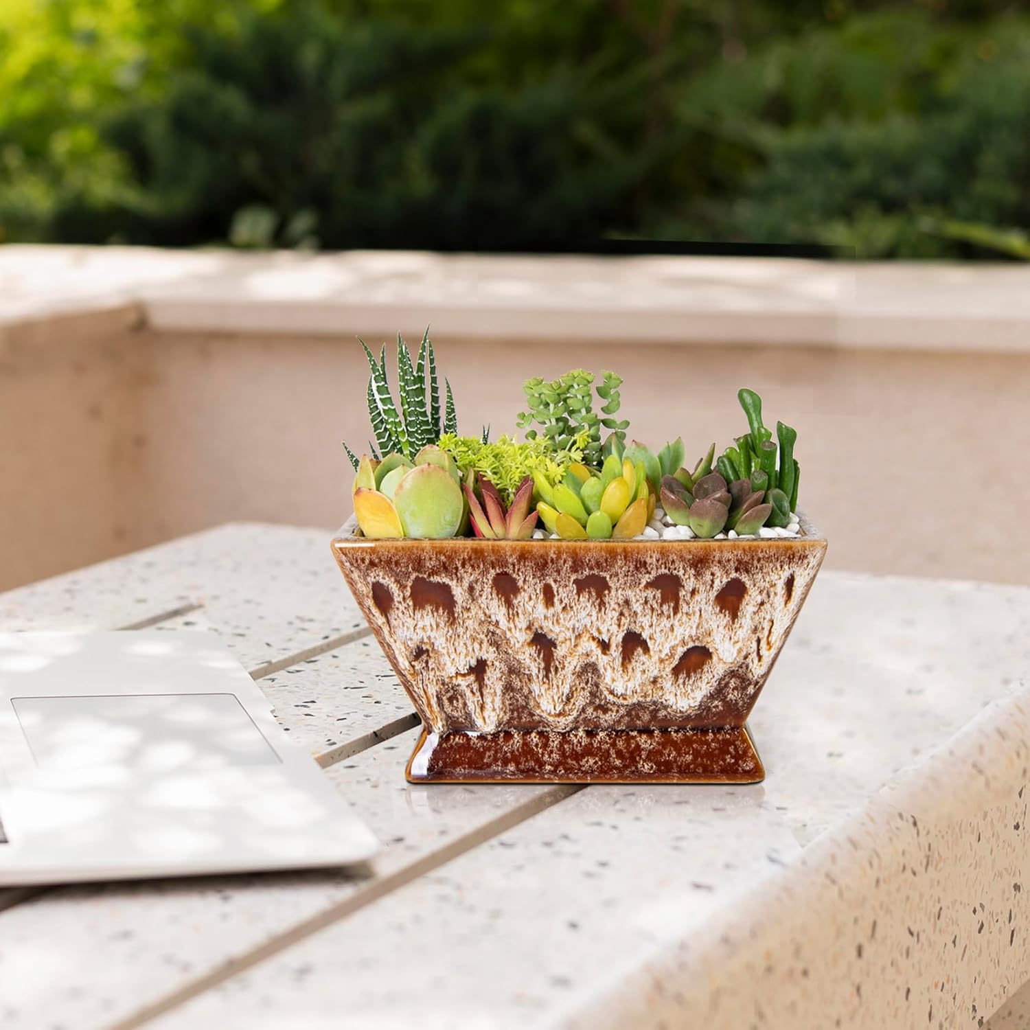 ARTKETTY Succulent Pots - 7 Inch Large Plant Pot with Drainage, Shallow Ceramic Succulent Planters for Indoor Outdoor Plants, Modern Cactus Bonsai Plant Container Decorative Home Office