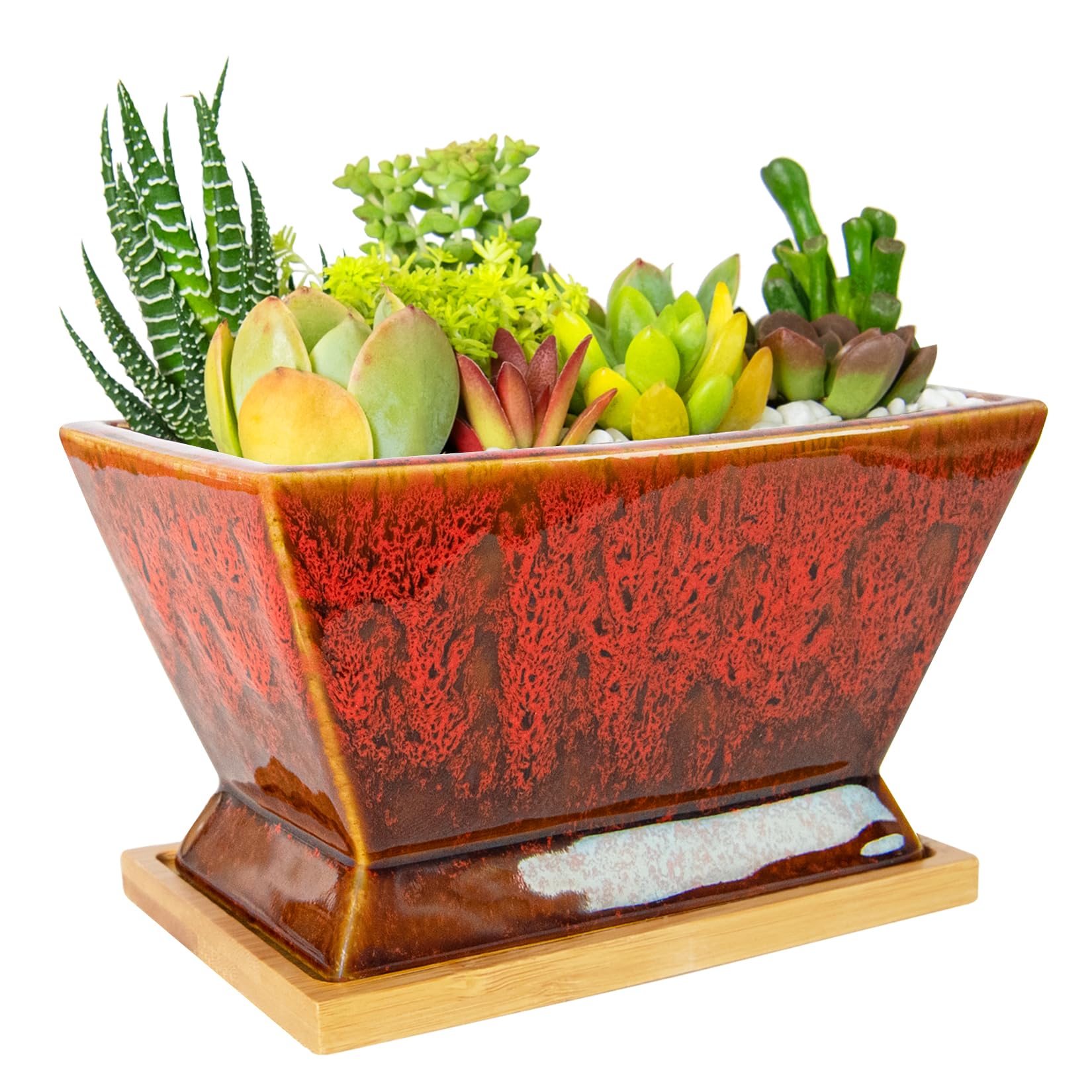 ARTKETTY Succulent Pots - 7 Inch Large Plant Pots with Drainage Tray | Shallow Ceramic Pots for Indoor Plants, Modern Cactus Bonsai Plant Container Decorative Home Office