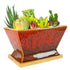 Red With Tray