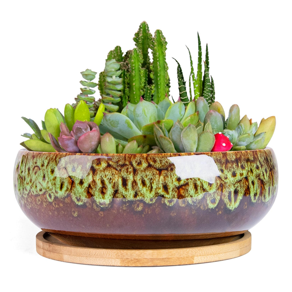 ARTKETTY Succulent Pots, 7.5 Inch Large Plant Pots with Bamboo Tray | Shallow Bonsai Pots with Drainage, Ceramic Planter for Indoor Plants, Cactus, Home Office Desk Decor