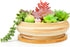 7.3'' Wooden Pattern