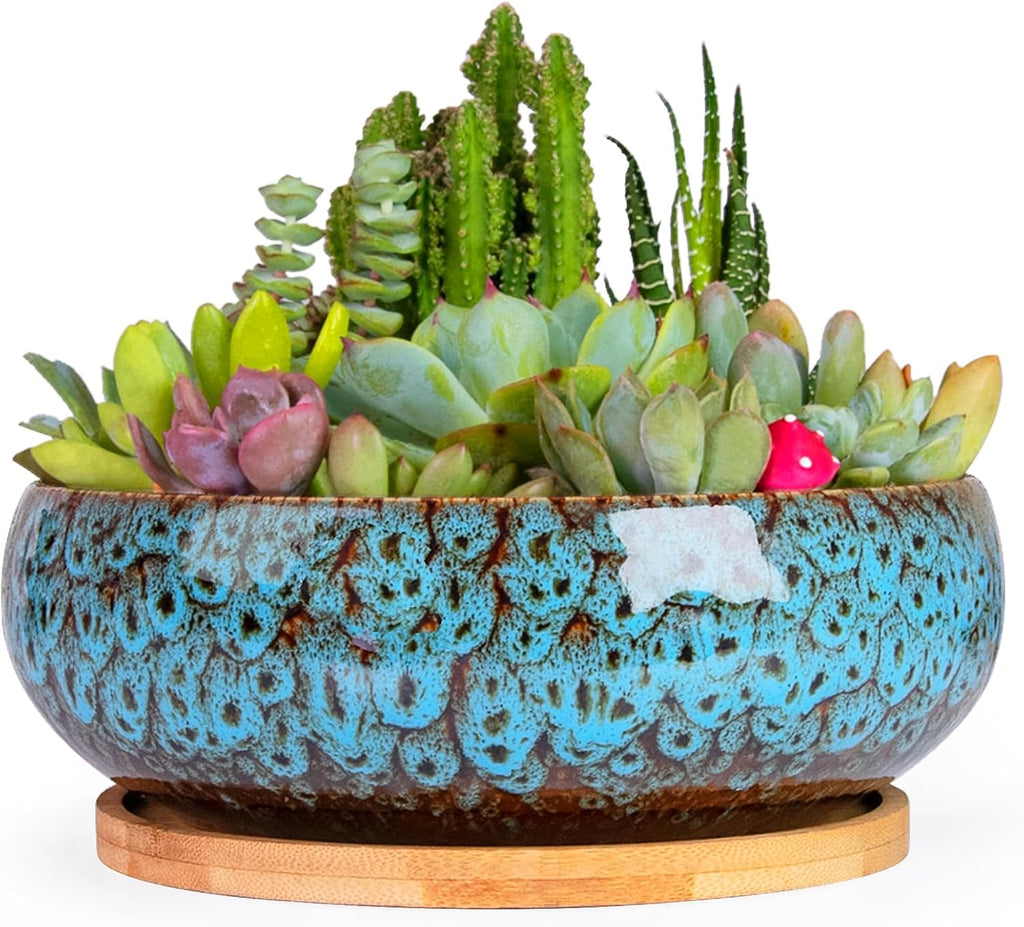 ARTKETTY Succulent Pots, 7.5 Inch Large Plant Pots with Bamboo Tray | Shallow Bonsai Pots with Drainage, Ceramic Planter for Indoor Plants, Cactus, Home Office Desk Decor