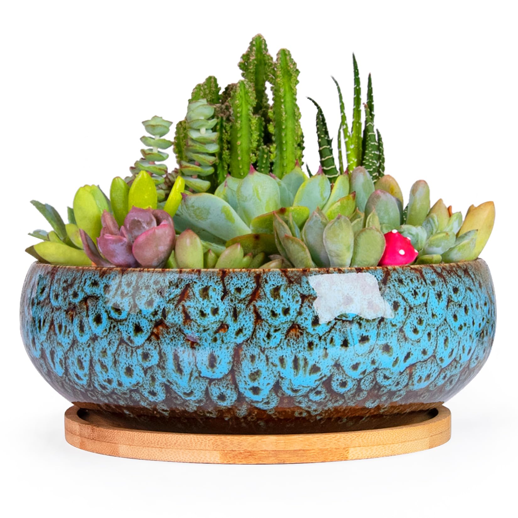 ARTKETTY Succulent Pots, 7.5 Inch Large Plant Pots with Bamboo Tray | Shallow Bonsai Pots with Drainage, Ceramic Planter for Indoor Plants, Cactus, Home Office Desk Decor