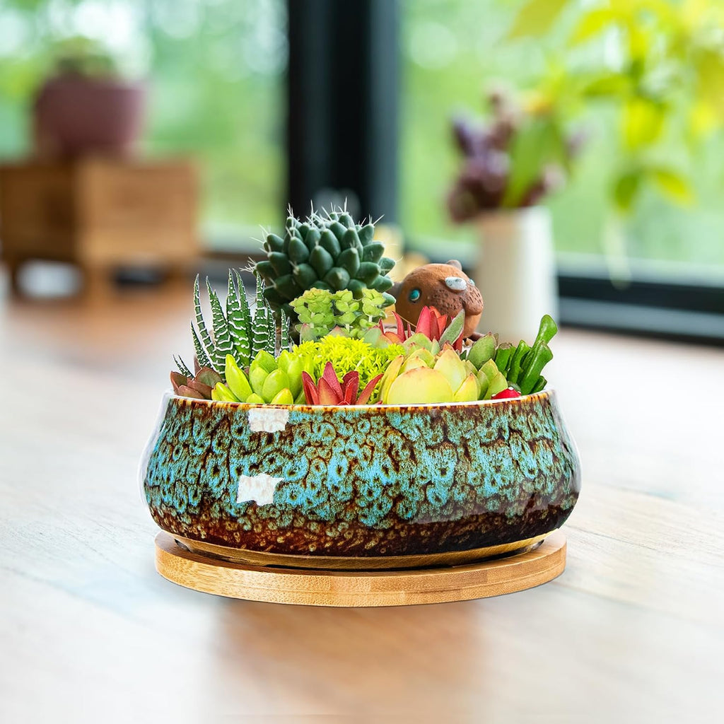ARTKETTY Succulent Pots - 8 Inch Large Plant Pots, Shallow Planters | Ceramic Bonsai Pots with Drainage Tray, Round Cactus Flower Plant Container Bowl Decorative Home Garden