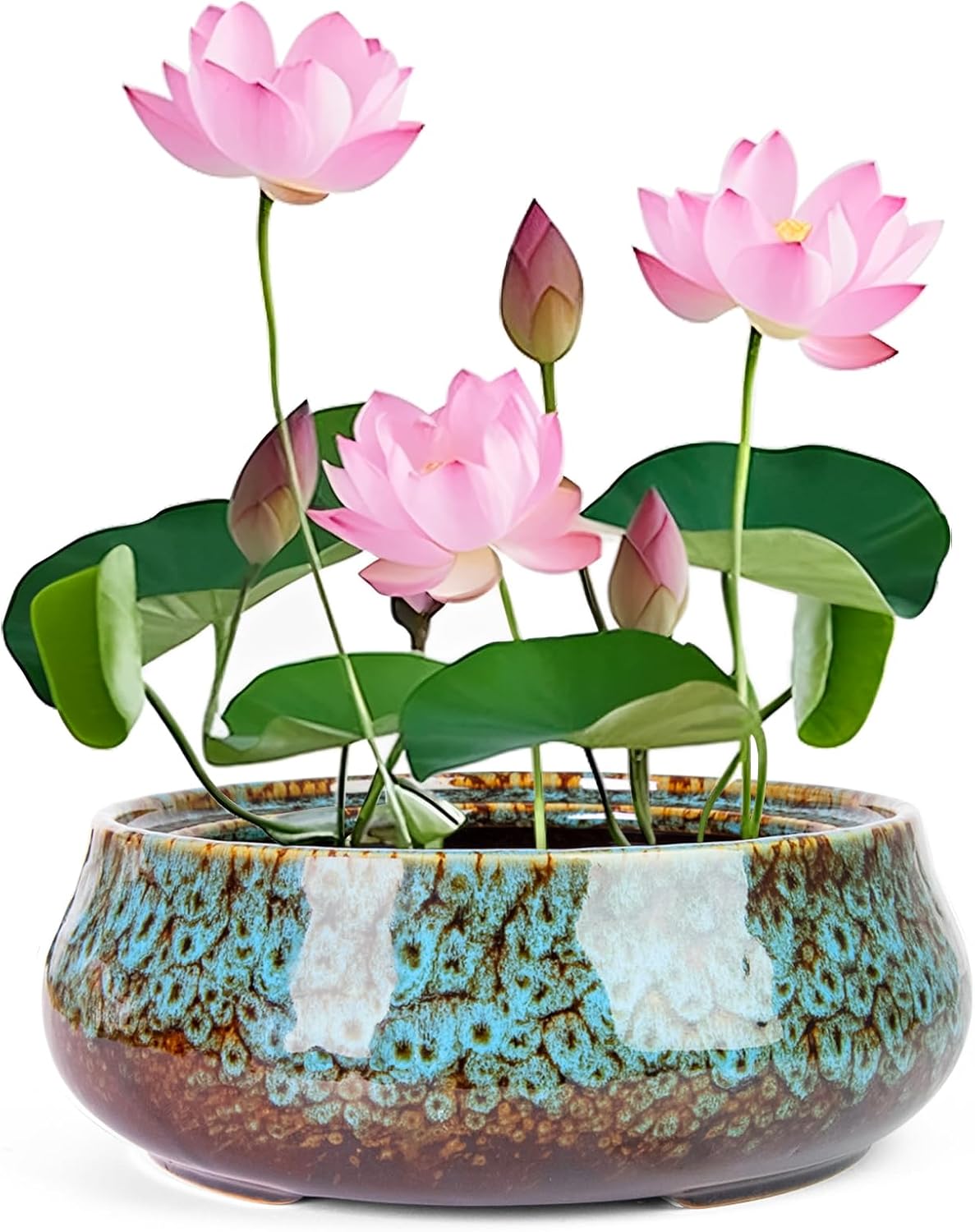 Lotus Bowl Planter - 8 Inch Large Lotus Flower Bowl for Water Plants, Ceramic Hydroponic Planter Water Lily Bowl for Planting Aquatic and Indoor Succulent Plants and Bonsai
