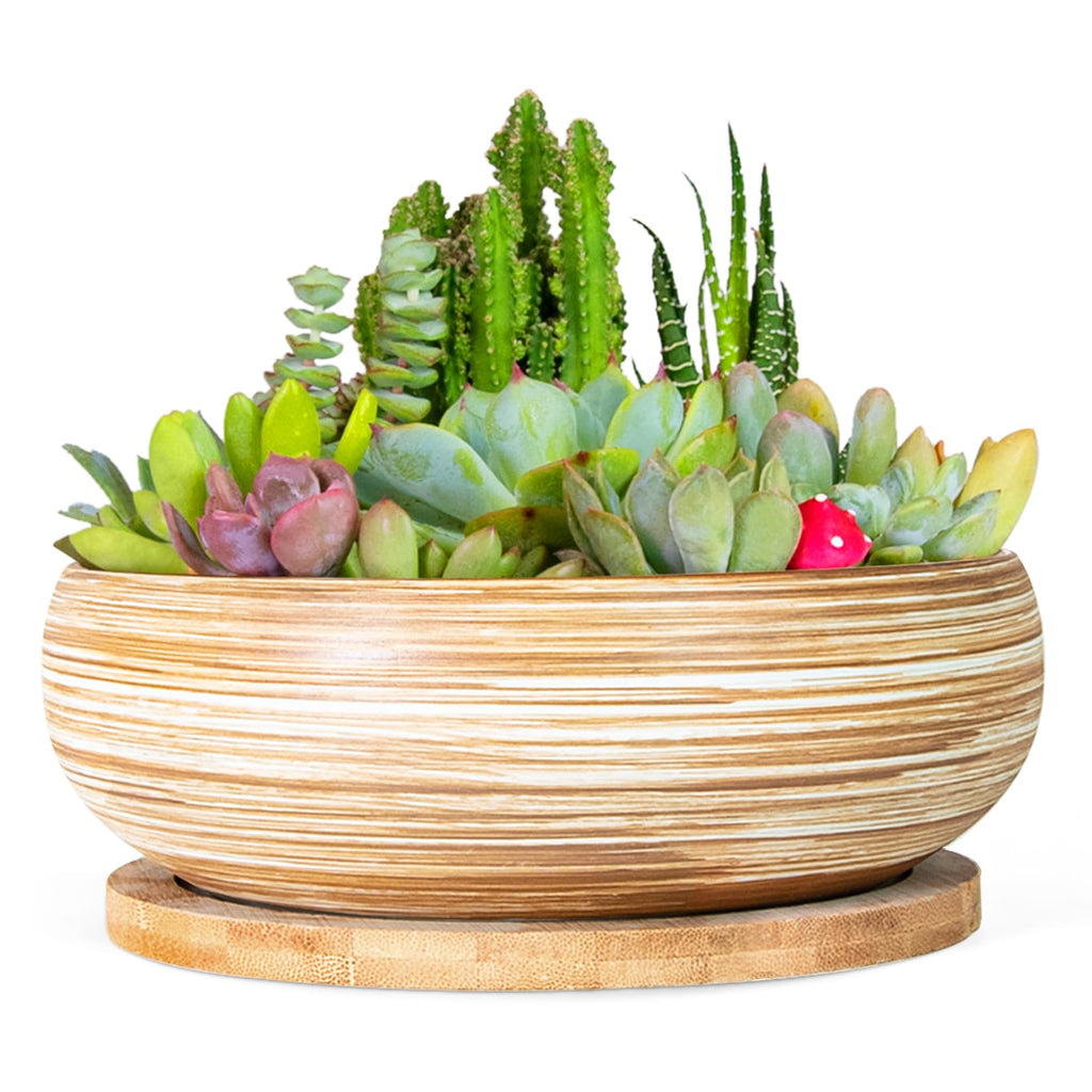 ARTKETTY Succulent Pots, 7.5 Inch Large Plant Pots with Bamboo Tray | Shallow Bonsai Pots with Drainage, Ceramic Planter for Indoor Plants, Cactus, Home Office Desk Decor