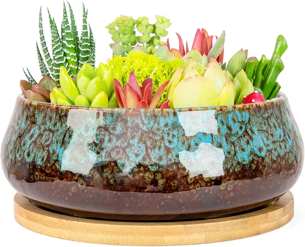 ARTKETTY Succulent Pots - 8 Inch Large Plant Pots, Shallow Planters | Ceramic Bonsai Pots with Drainage Tray, Round Cactus Flower Plant Container Bowl Decorative Home Garden