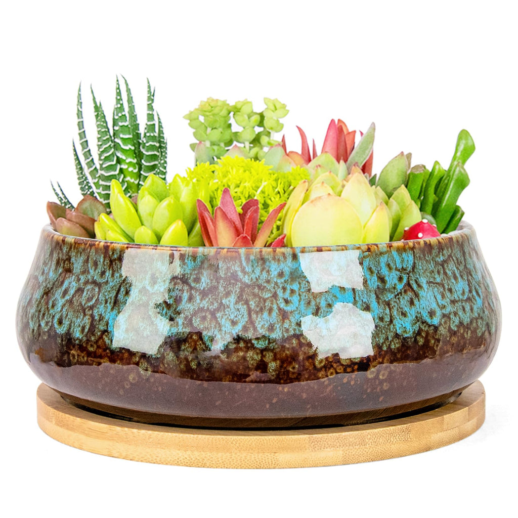 ARTKETTY Succulent Pots - 8 Inch Large Plant Pots, Shallow Planters | Ceramic Bonsai Pots with Drainage Tray, Round Cactus Flower Plant Container Bowl Decorative Home Garden