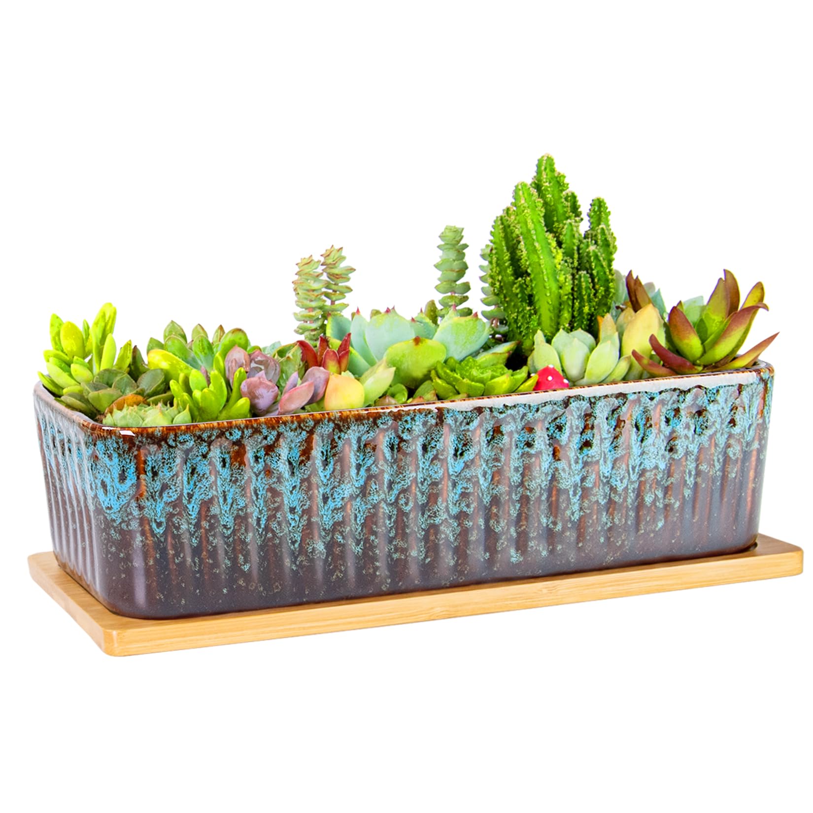 Succulent Pots - 12 Inch Large Succulent Planters with Drainage Tray, Window Sill Planter, Long Rectangle Ceramic Pots for Indoor Cactus Plants Shallow Bonsai Window Box for Home Garden Decor