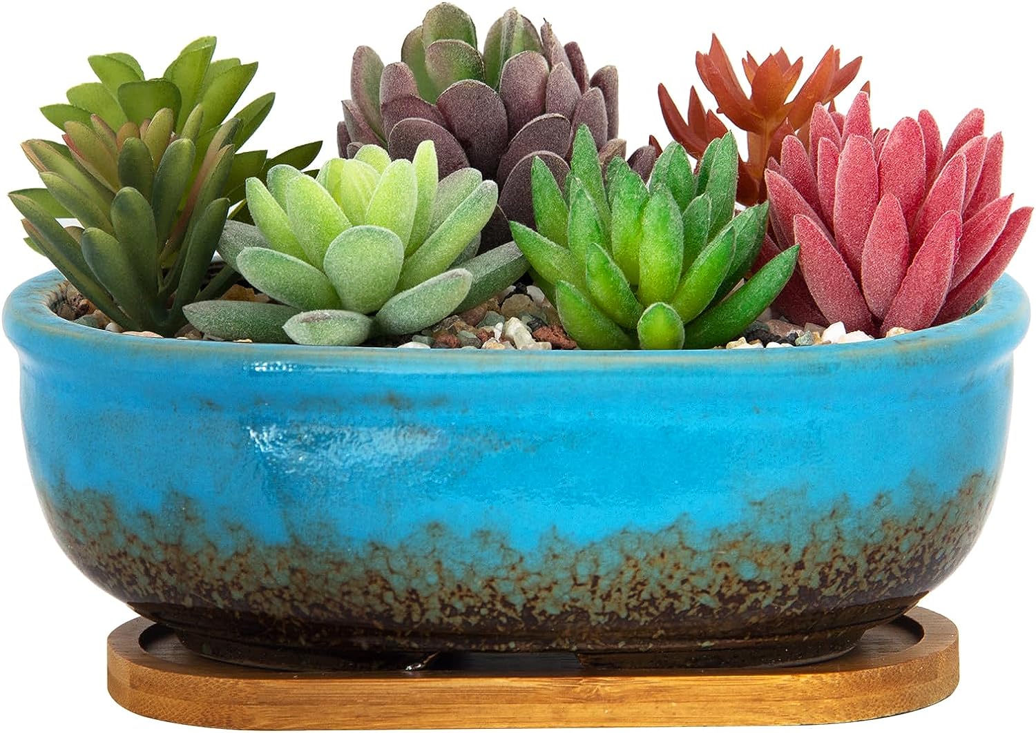can you plant succulents in ceramic pots Succulent Pots, 7.9 Inch Long Rectangular Succulent Planters with Dra – artketty