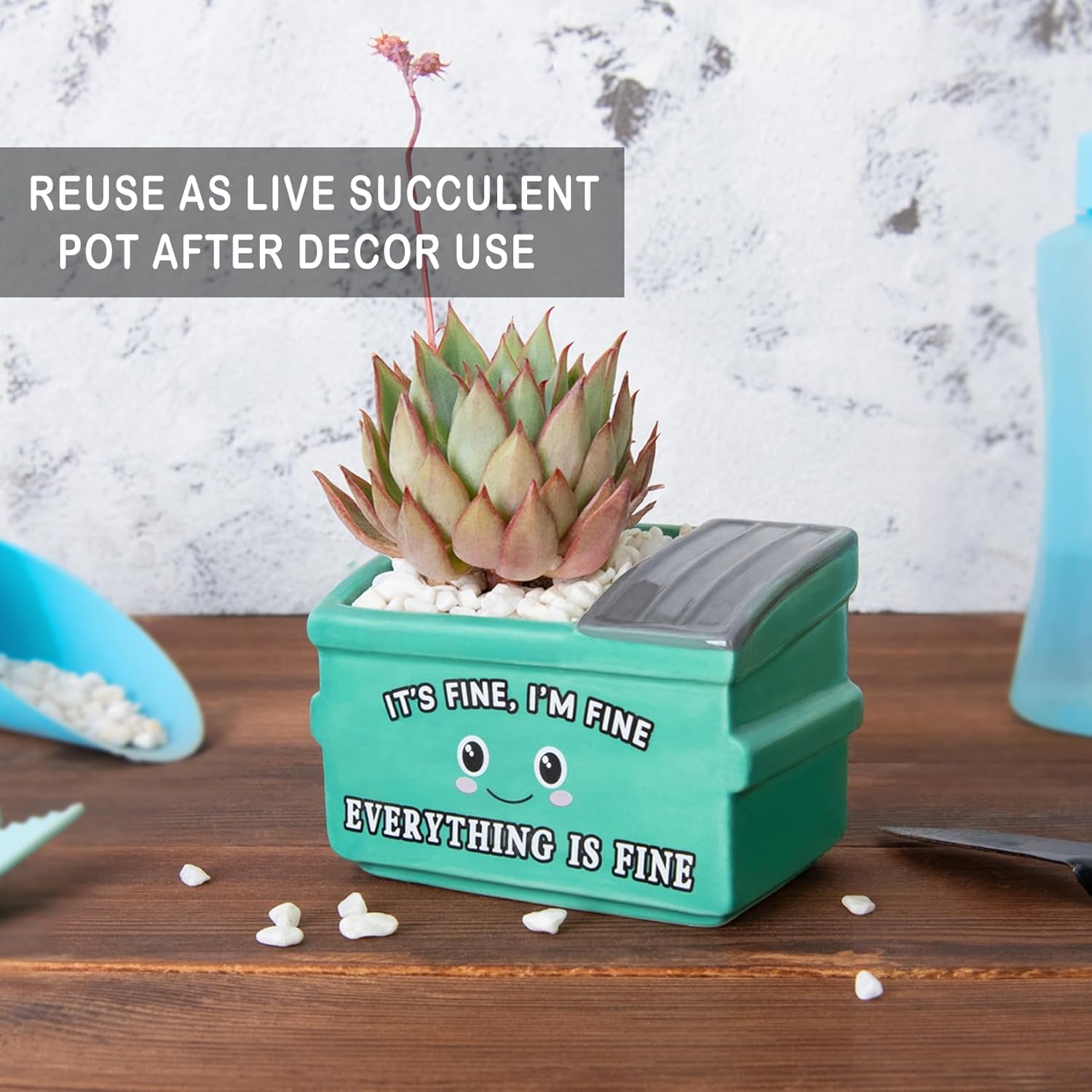 Emotional Support Dumpster Fire Desk Decor, Fake Plants in Ceramic Succulent Pots, Motivational Positive Thinking Office Desk Accessories, Funny Gifts for Women, Men, Coworkers