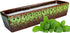 Green-Peppermint