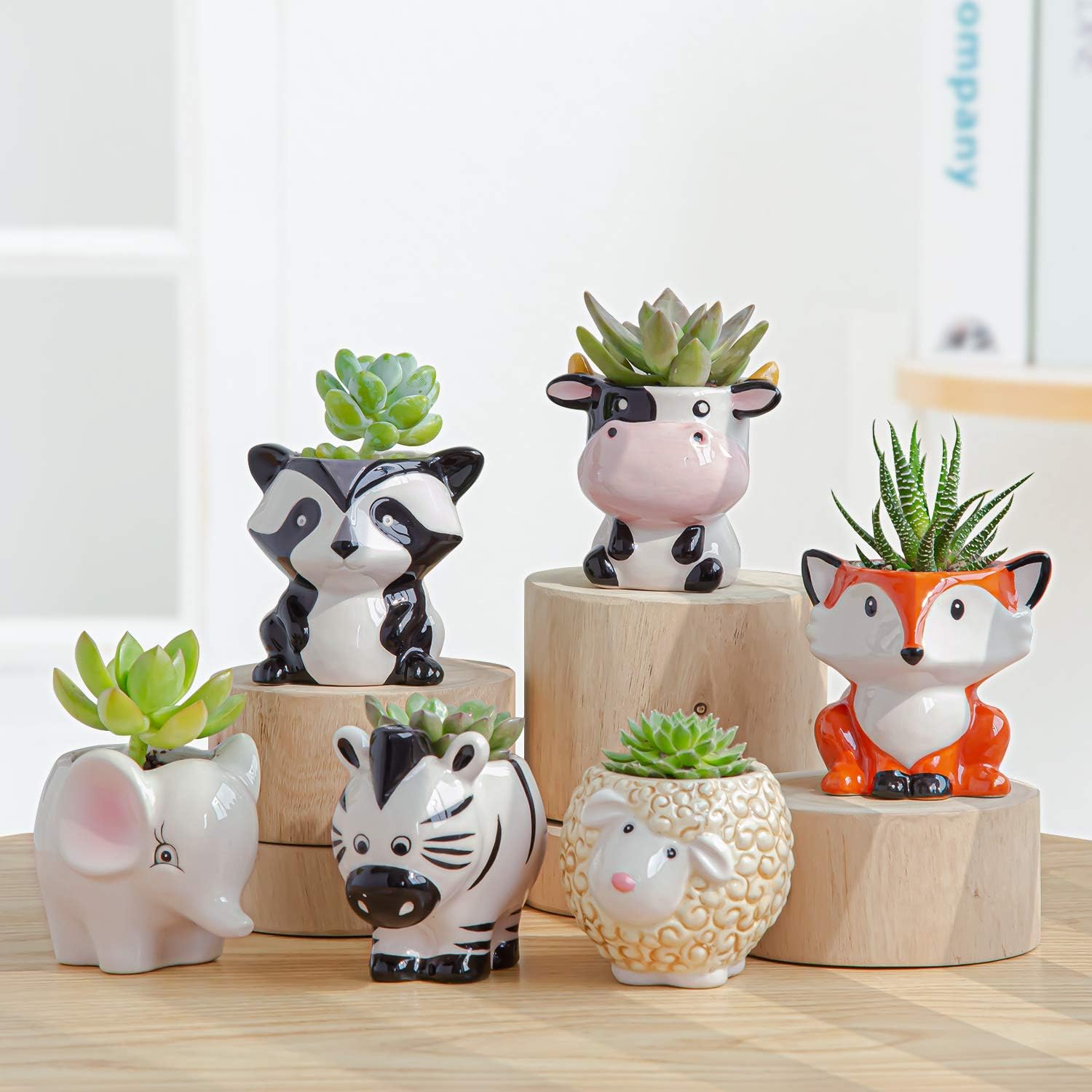 Cute Succulent Planter, Succulent Pots with Drainage Hole Flower Plant Pot Cartoon Ceramic Tiny Pot for Indoor Mini Flower Planters Cactus Container Set of 6