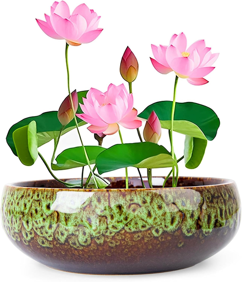ARTKETTY Lotus Bowl Planter - 8 Inch Large Lotus Flower Bowl for Water Plants, Ceramic Bonsai Bowl for Hydroponic Plant Succulent Plants Indoors Outdoor