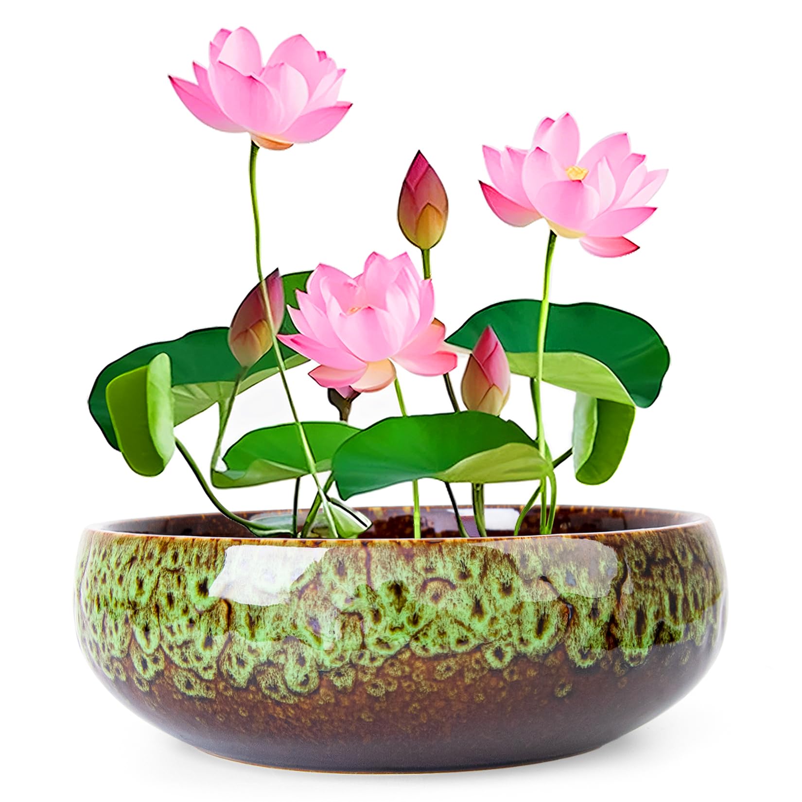 ARTKETTY Lotus Bowl Planter - 8 Inch Large Lotus Flower Bowl for Water Plants, Ceramic Bonsai Bowl for Hydroponic Plant Succulent Plants Indoors Outdoor