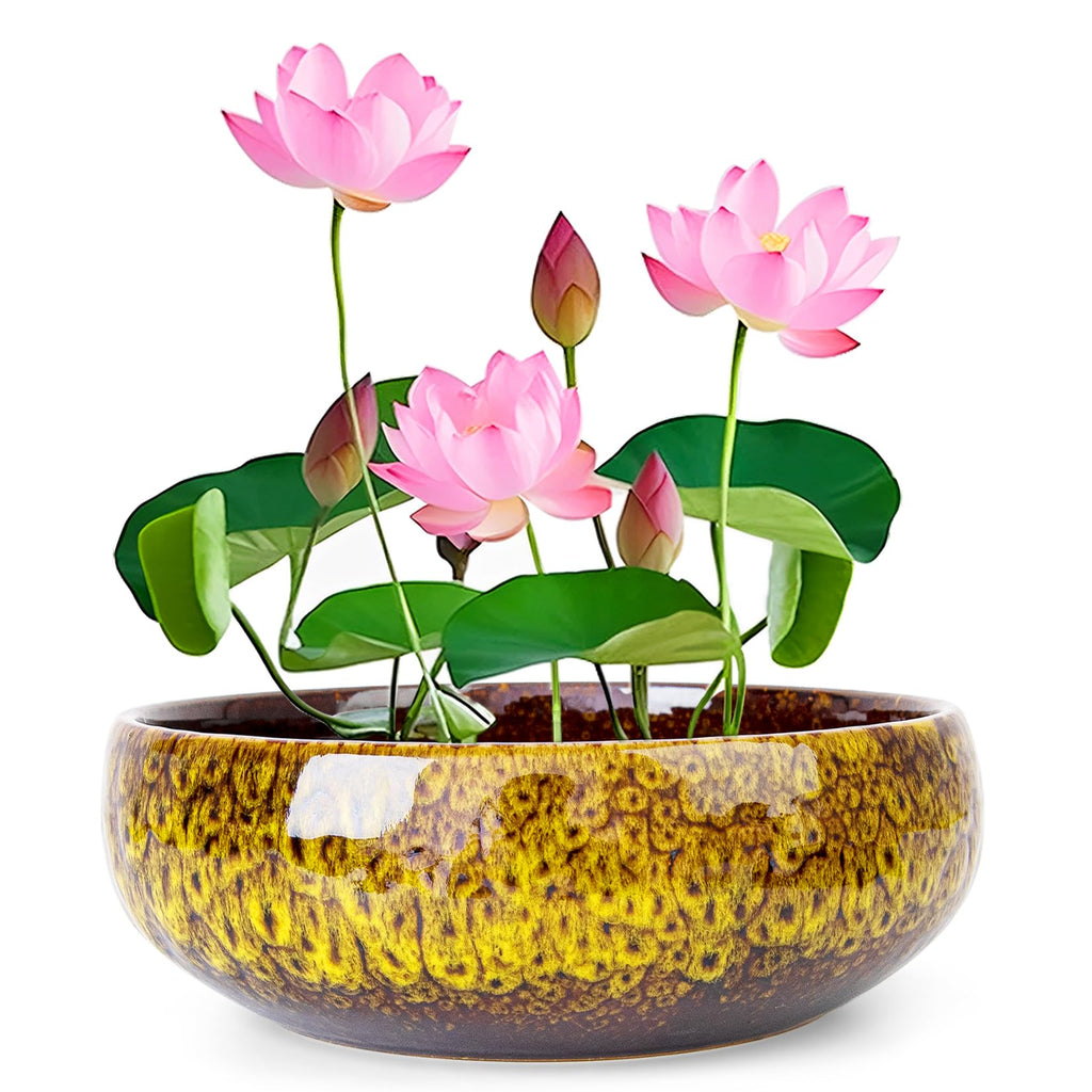 ARTKETTY Lotus Bowl Planter - 8 Inch Large Lotus Flower Bowl for Water Plants, Ceramic Bonsai Bowl for Hydroponic Plant Succulent Plants Indoors Outdoor