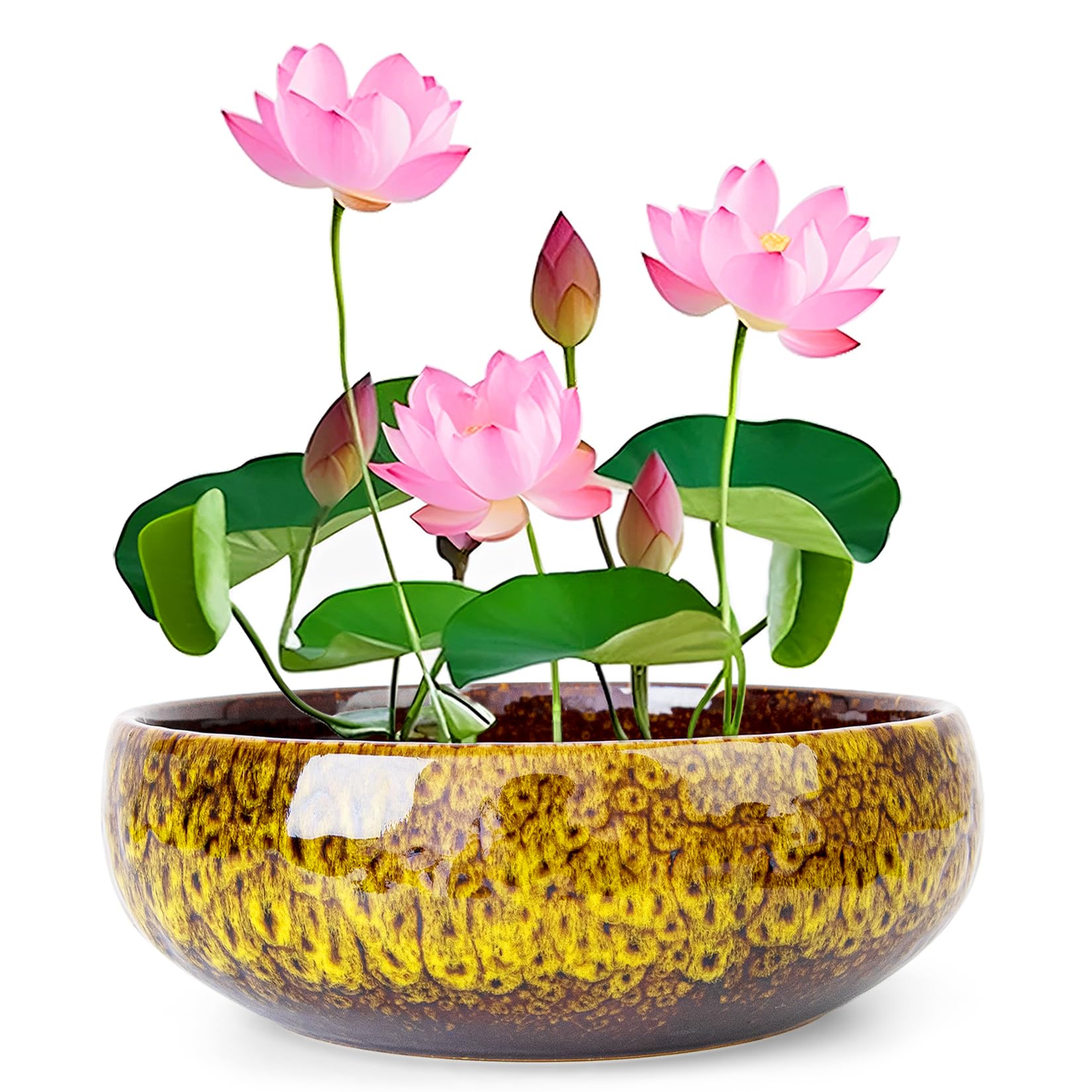 ARTKETTY Lotus Bowl Planter - 8 Inch Large Lotus Flower Bowl for Water Plants, Ceramic Bonsai Bowl for Hydroponic Plant Succulent Plants Indoors Outdoor