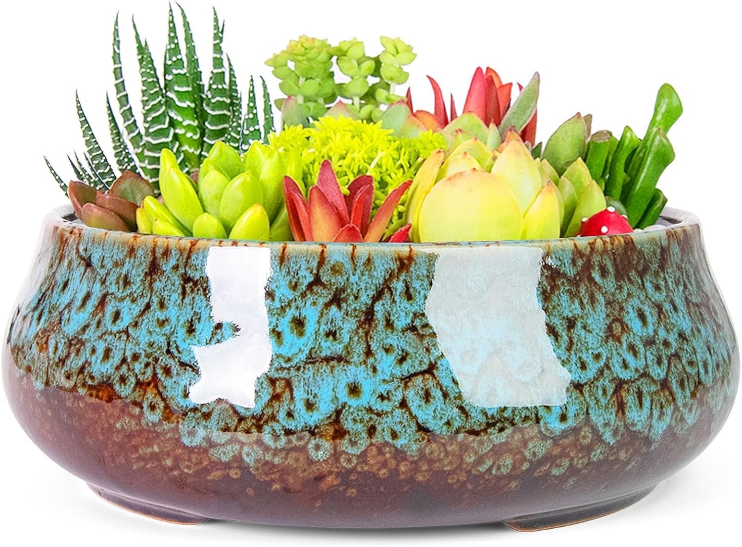 ARTKETTY Succulent Pots - 8 Inch Plant Pot, Large Bonsai Pots with Drainage, Ceramic Planters for Indoor Outdoor Plants, Round Shallow Cactus Flower Plant Container Bowl Decorative Home Garden