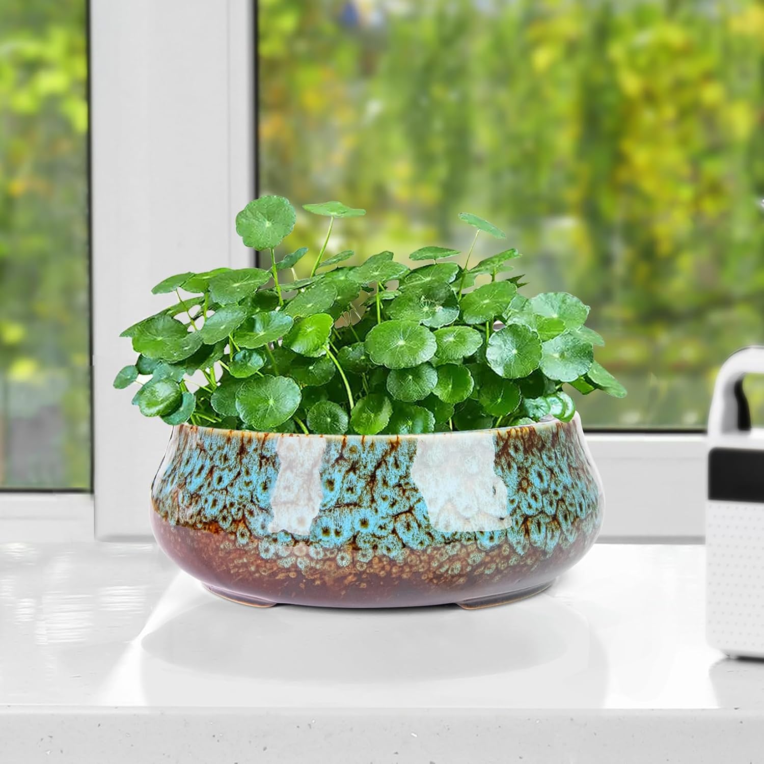 Lotus Bowl Planter - 8 Inch Large Lotus Flower Bowl for Water Plants, Ceramic Hydroponic Planter Water Lily Bowl for Planting Aquatic and Indoor Succulent Plants and Bonsai