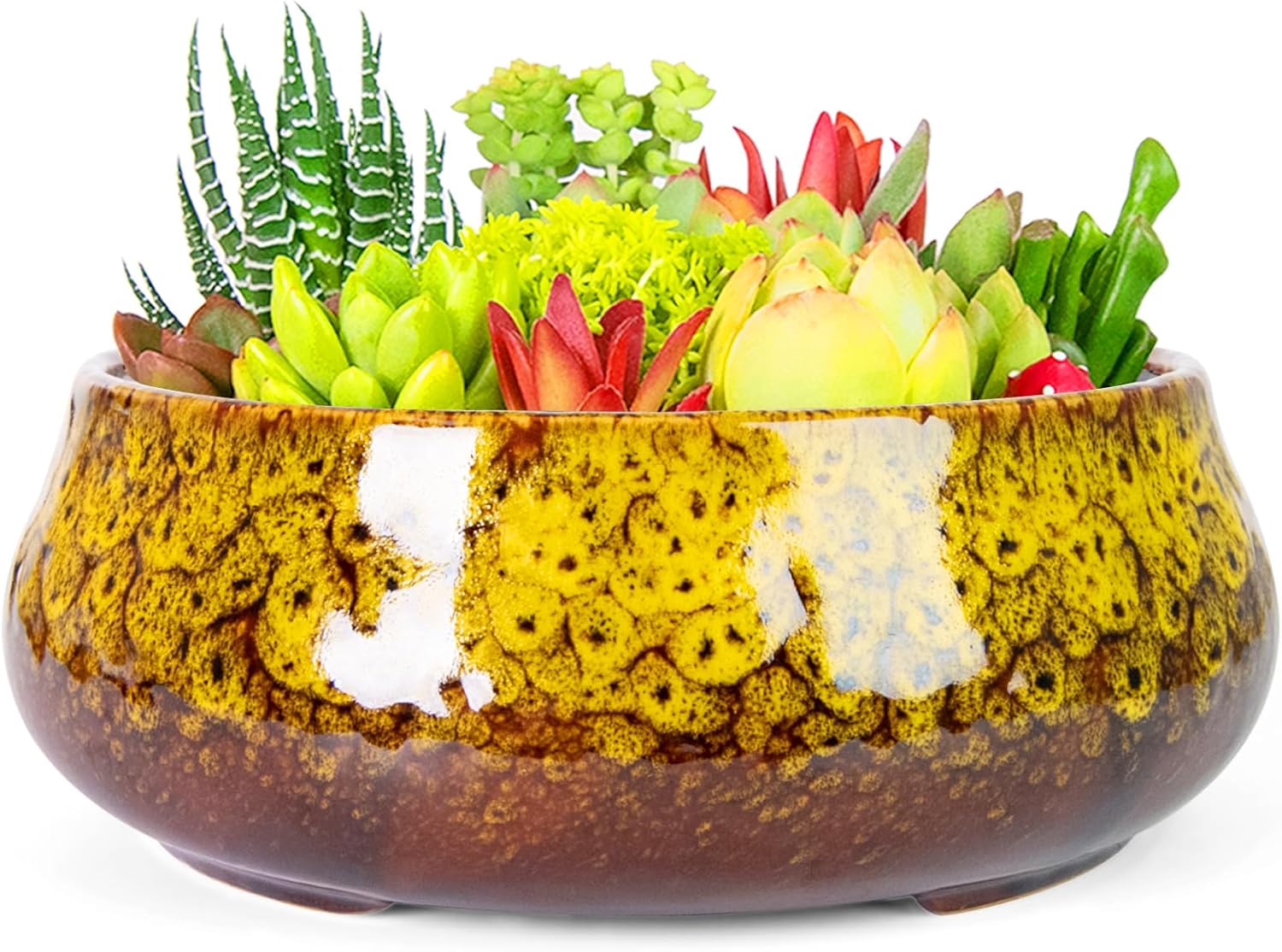 ARTKETTY Succulent Pots - 8 Inch Plant Pot, Large Bonsai Pots with Drainage, Ceramic Planters for Indoor Outdoor Plants, Round Shallow Cactus Flower Plant Container Bowl Decorative Home Garden