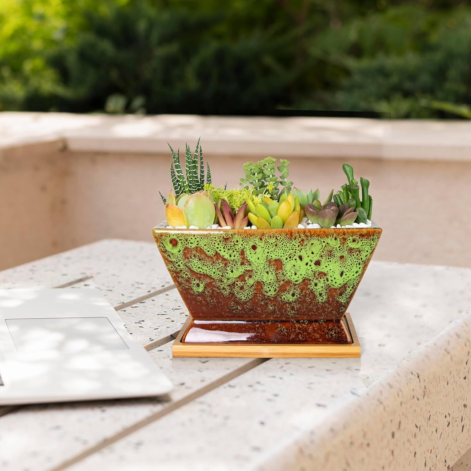 ARTKETTY Succulent Pots - 7 Inch Large Plant Pots with Drainage Tray | Shallow Ceramic Pots for Indoor Plants, Modern Cactus Bonsai Plant Container Decorative Home Office