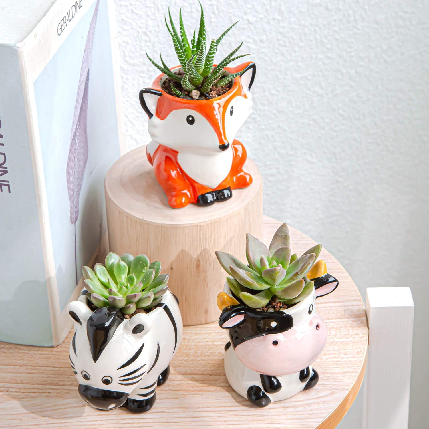 Cute Succulent Planter, Succulent Pots with Drainage Hole Flower Plant Pot Cartoon Ceramic Tiny Pot for Indoor Mini Flower Planters Cactus Container Set of 6