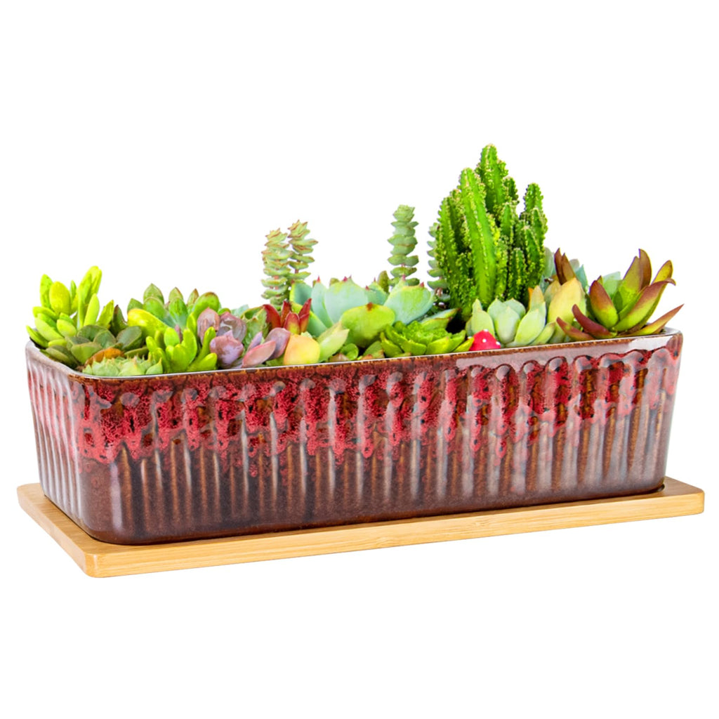 Succulent Pots - 12 Inch Large Succulent Planters with Drainage Tray, Window Sill Planter, Long Rectangle Ceramic Pots for Indoor Cactus Plants Shallow Bonsai Window Box for Home Garden Decor
