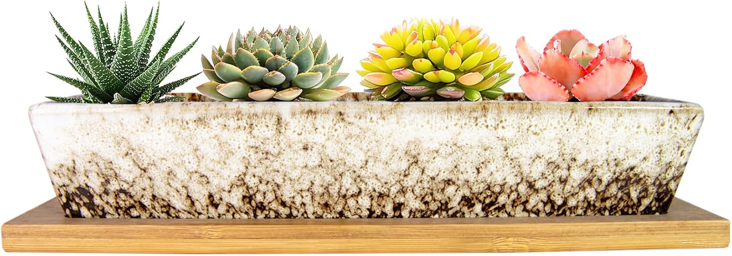 ARTKETTY Succulent Pots, 9.8 Inch Ceramic Succulent Planters with Drainage Small Bonsai Pot with Bamboo Tray, Mini Cactus Flower Planter Pot Shallow Rectangular Window Planters for Indoor Plants