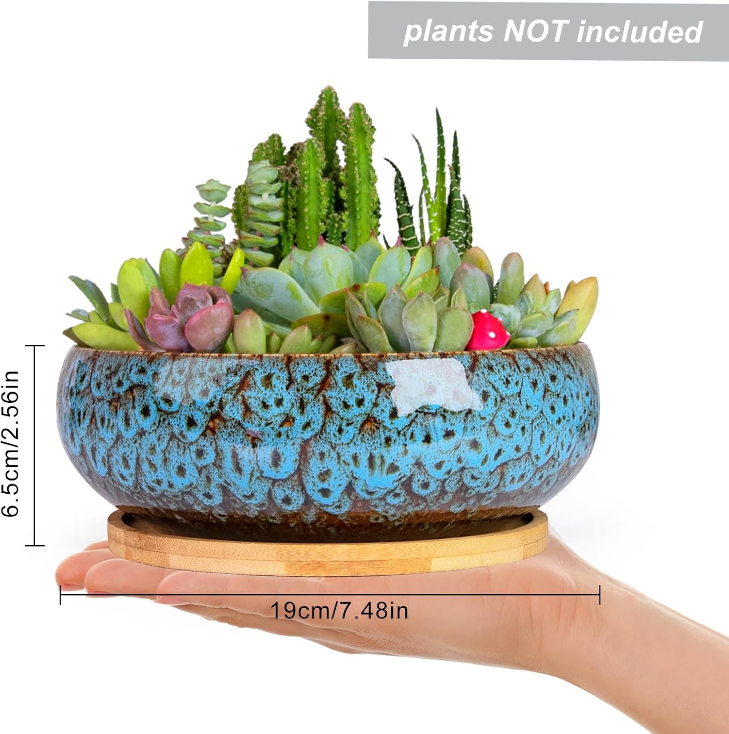 ARTKETTY Succulent Pots, 7.5 Inch Large Plant Pots with Bamboo Tray | Shallow Bonsai Pots with Drainage, Ceramic Planter for Indoor Plants, Cactus, Home Office Desk Decor